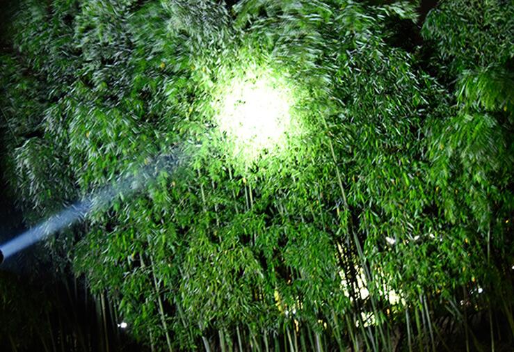 Spot Light(图3) Spot Light(图3)