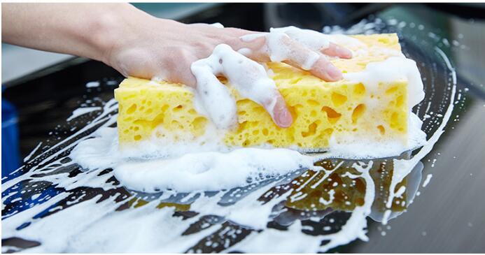 Oval Shape Sponge(图1)