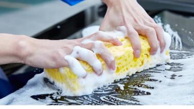 Oval Shape Sponge(图3)