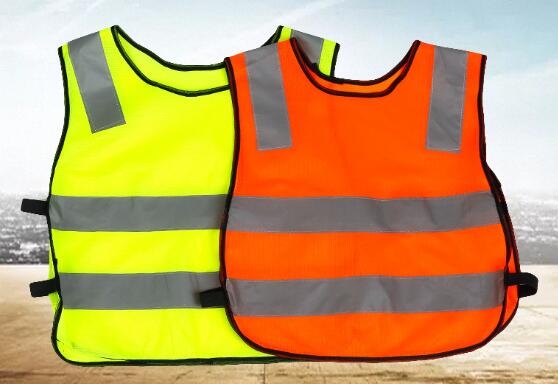 Warning vest(图1)