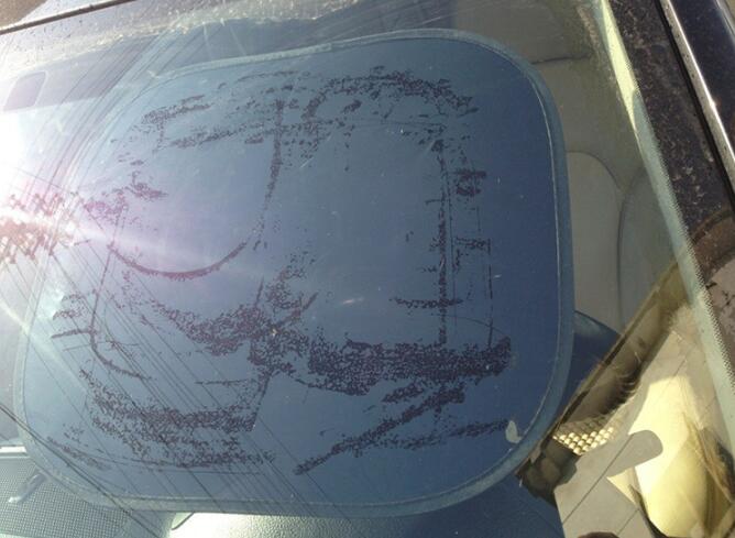 Sun Shade(图5)